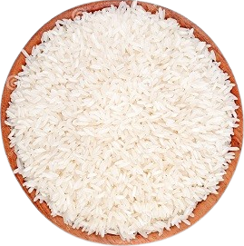 Rice Supplier in 